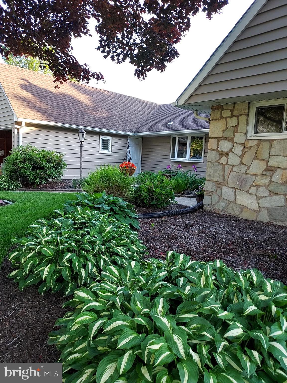 45 Seckelpear Road Levittown, PA 19056 - Photo 5 of 59 Gallery Image 5