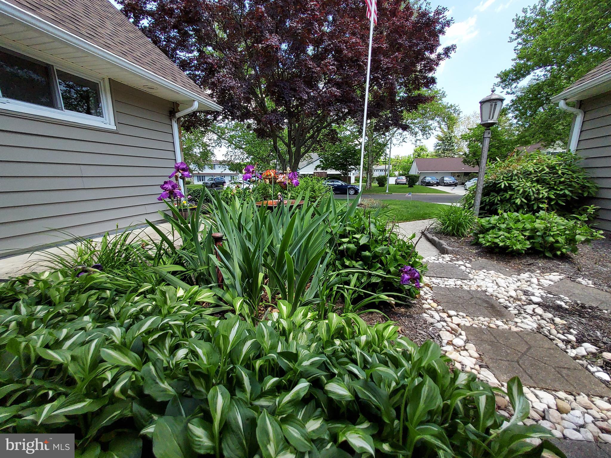 45 Seckelpear Road Levittown, PA 19056 - Photo 6 of 59 Gallery Image 6