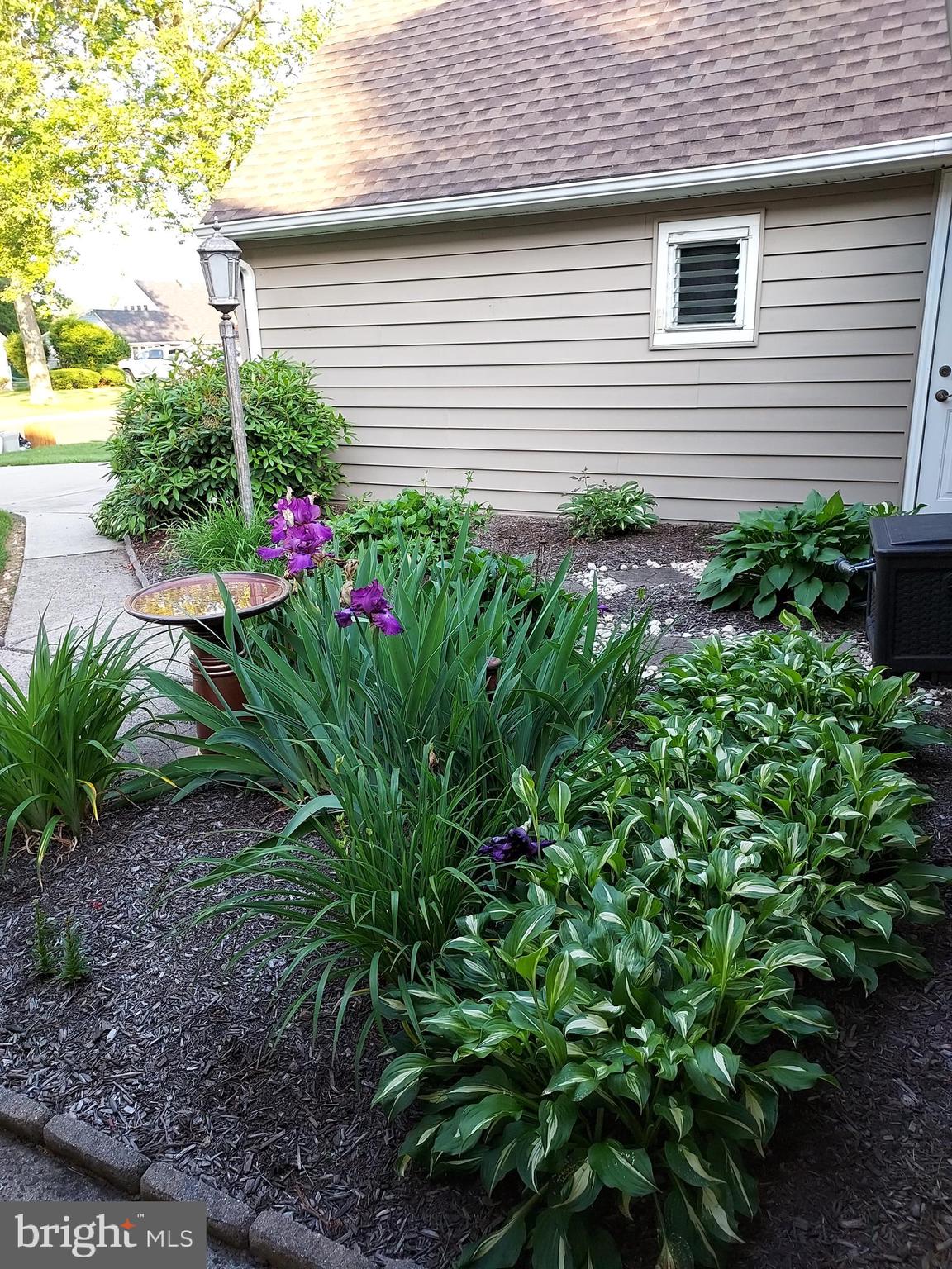 45 Seckelpear Road Levittown, PA 19056 - Photo 8 of 59 Gallery Image 8