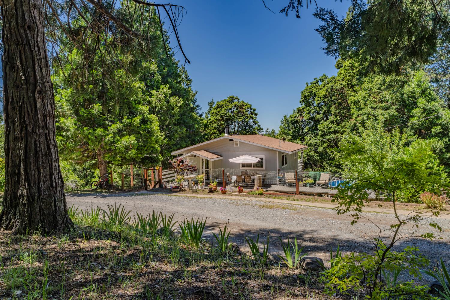 15853 Schaefer Ranch Road Pioneer, CA 95666 - Photo 65 of 68