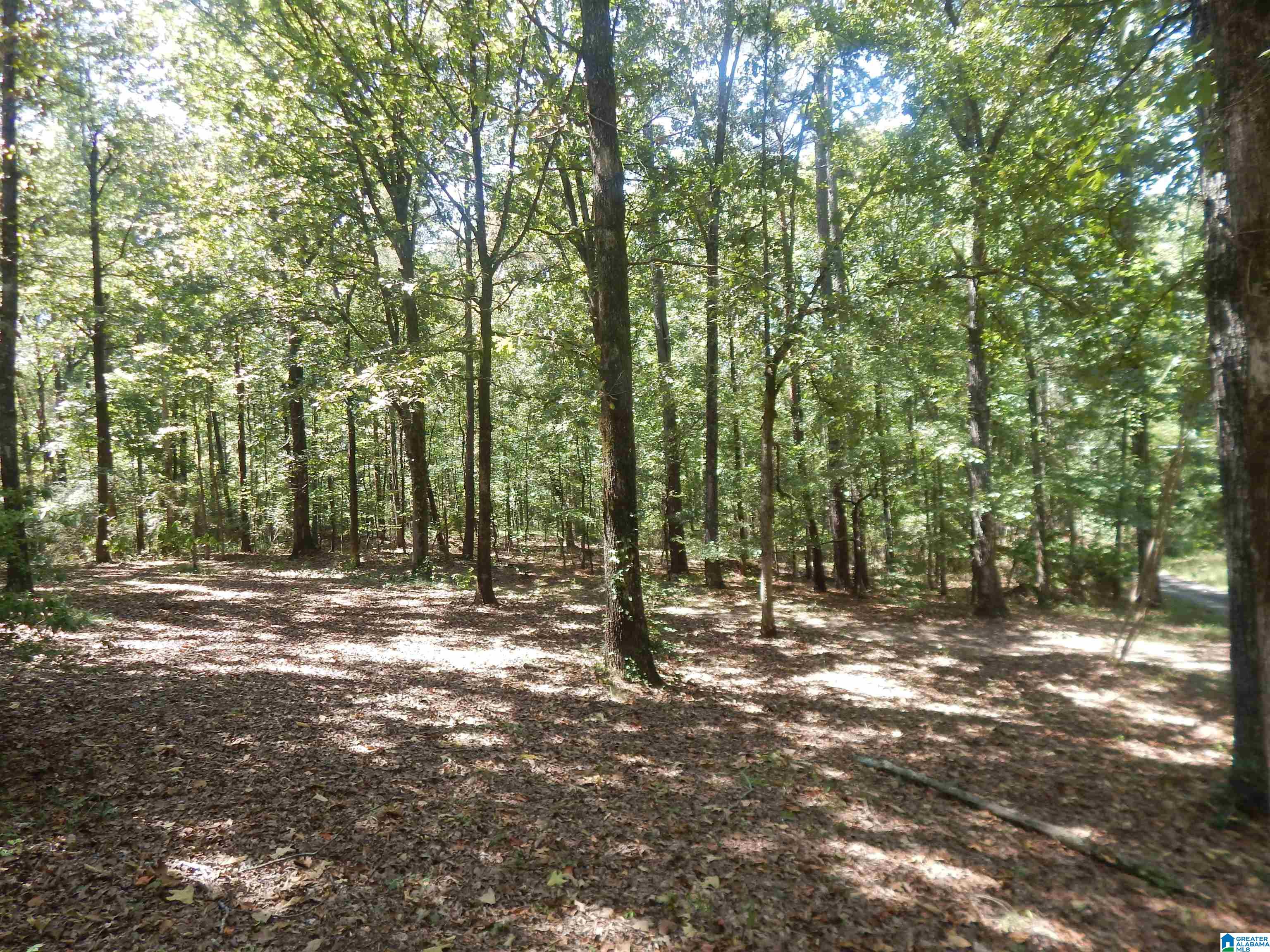 104 Giles Road Woodstock, AL 35188 - Photo 36 of 36