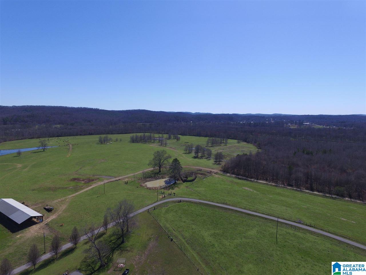 0 Double Bridge Road, Unit 286 Ashville, AL 35953 - Photo 4 of 34