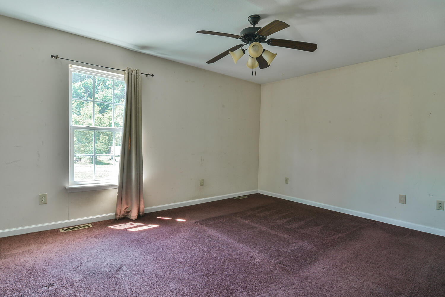 421 South Austin Springs Road Johnson City, TN 37601 - Photo 11 of 22 TRB_7723