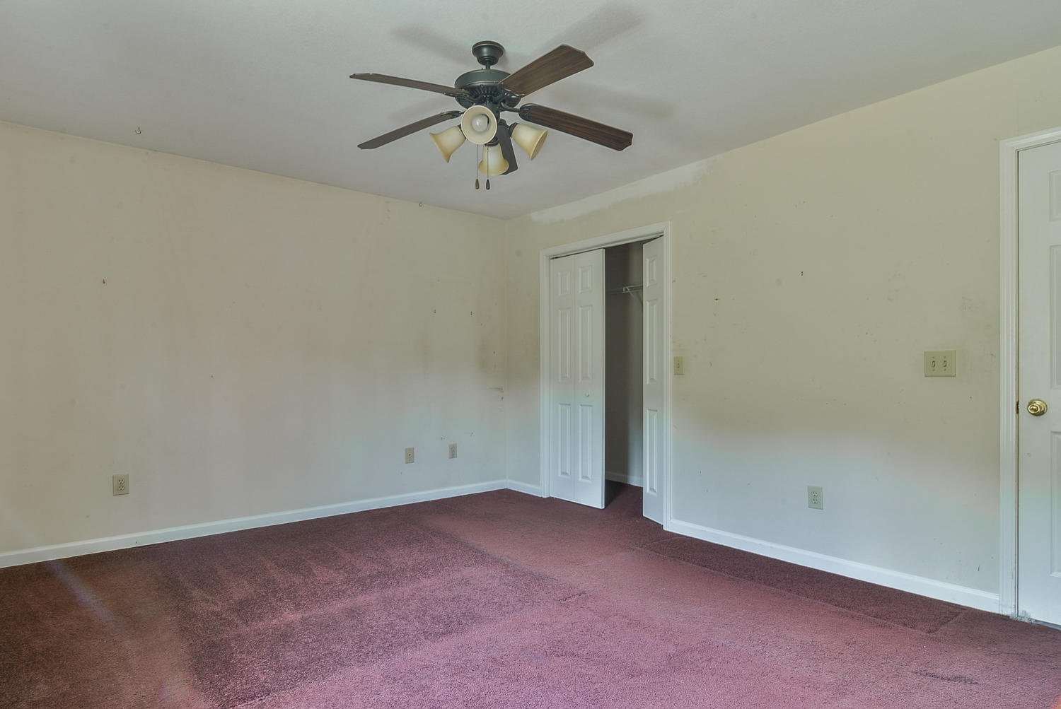 421 South Austin Springs Road Johnson City, TN 37601 - Photo 12 of 22 TRB_7725