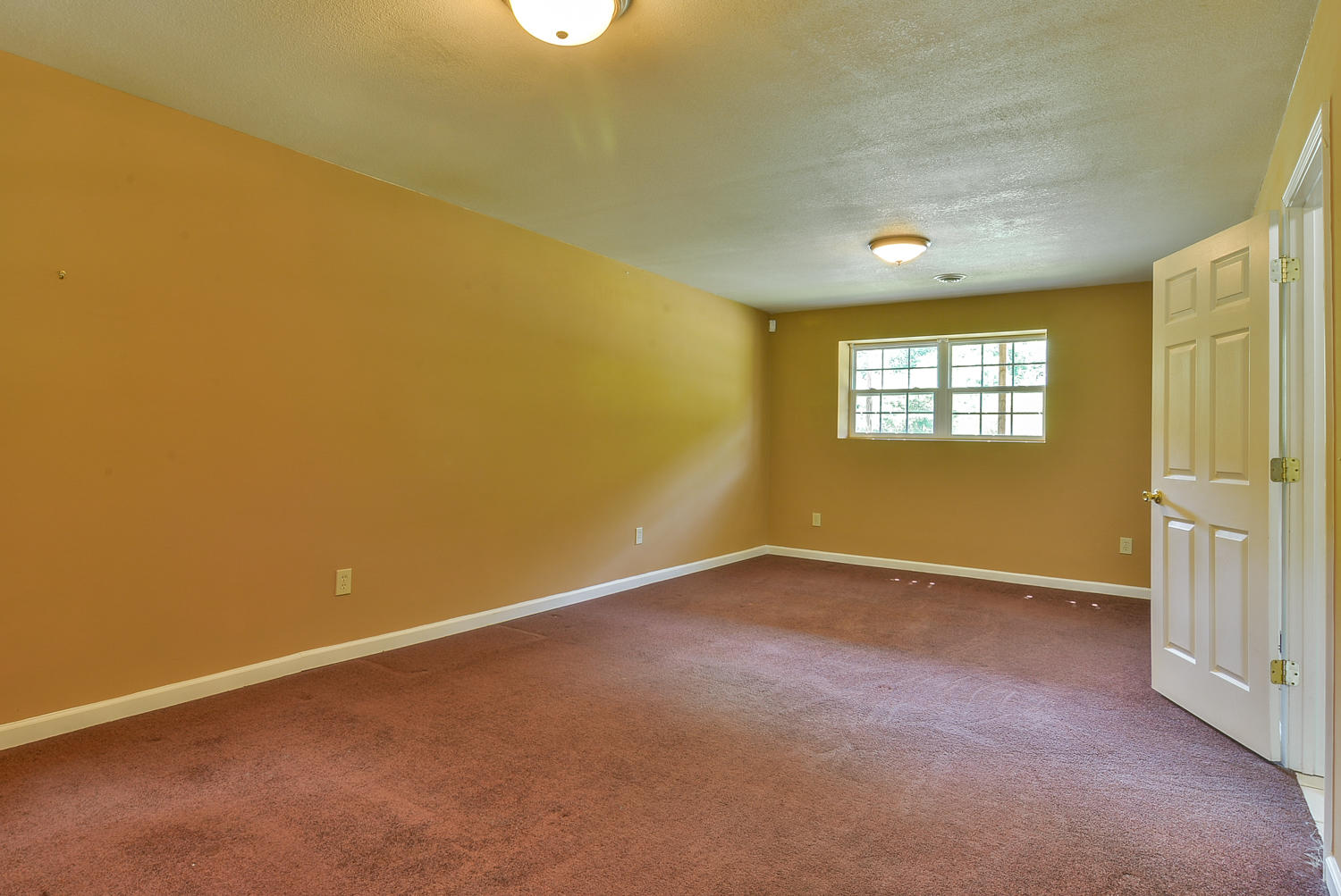 421 South Austin Springs Road Johnson City, TN 37601 - Photo 17 of 22 TRB_7712