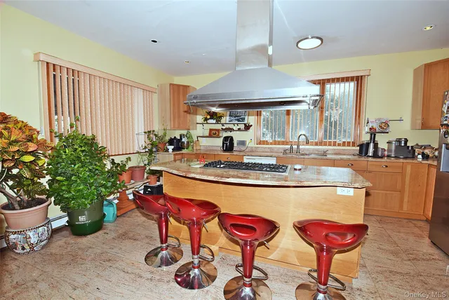 a dining table with chairs and a potted plant