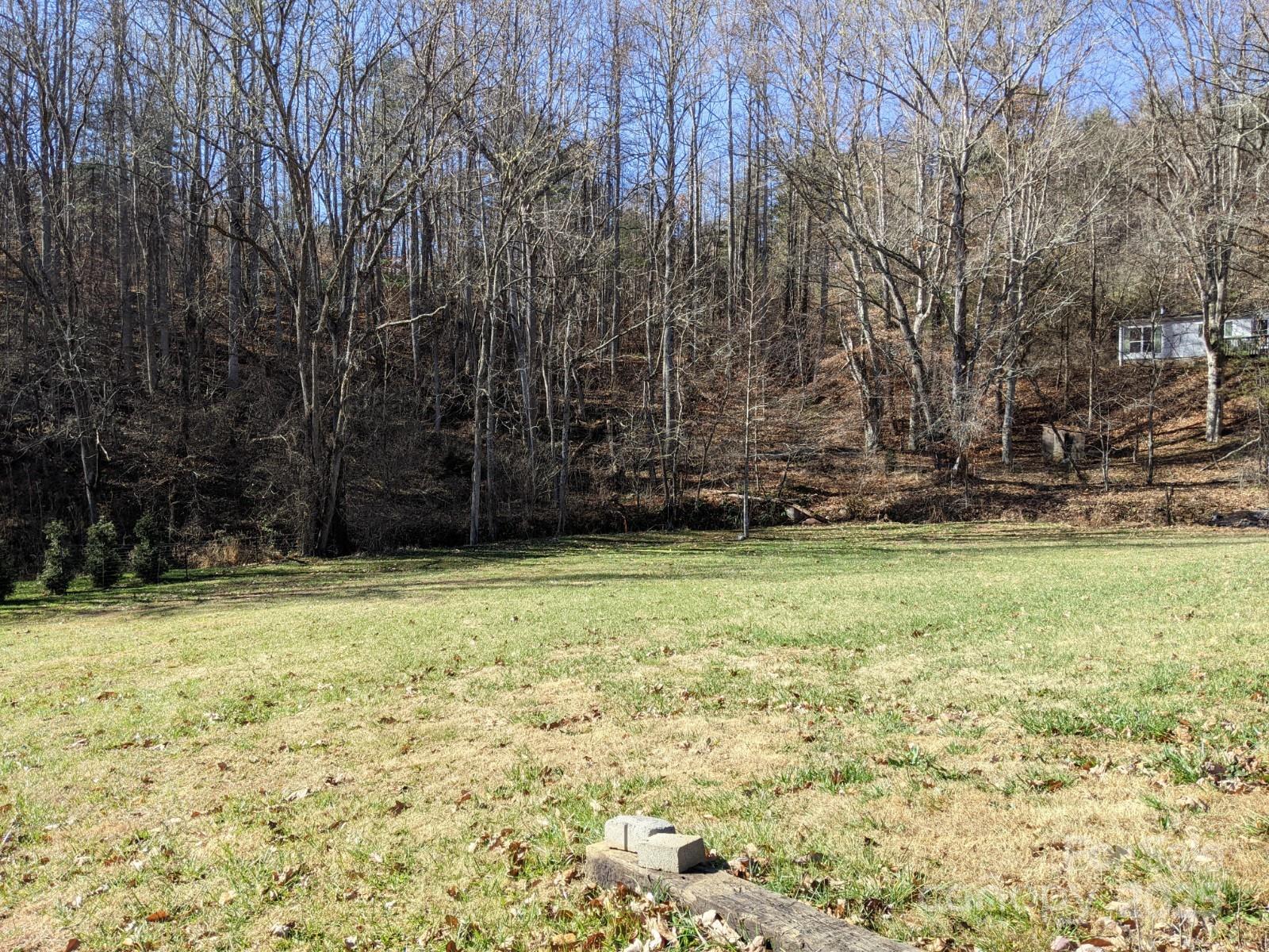 196 McKinney Road Weaverville, NC 28787 - Photo 18 of 20 a view of a yard with wooden fence