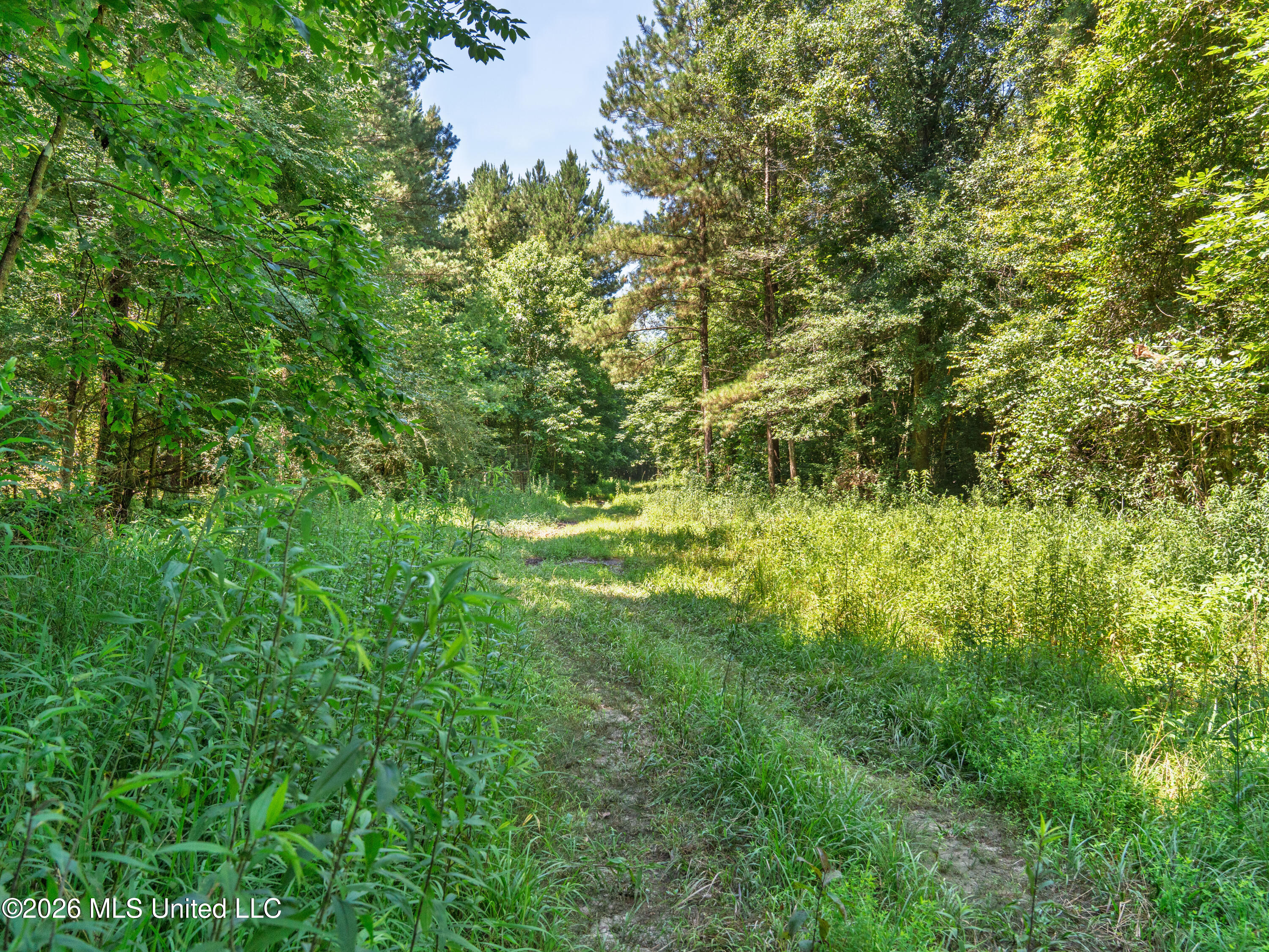 23 Co Road Bay Springs, MS 39422 - Photo 9 of 64 A7403729