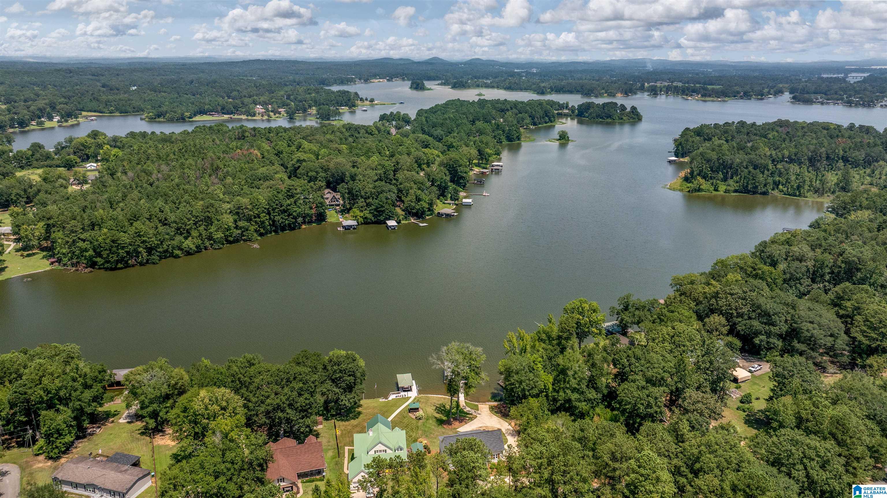61 Church Road Pell City, AL 35128 - Photo 79 of 80