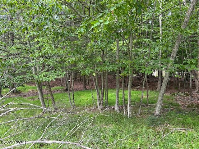 32 Tomahawk Road Lake Ariel, PA 18436 - Photo 7 of 12