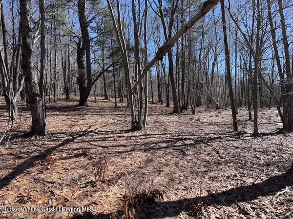 a view of a fire pit with large trees