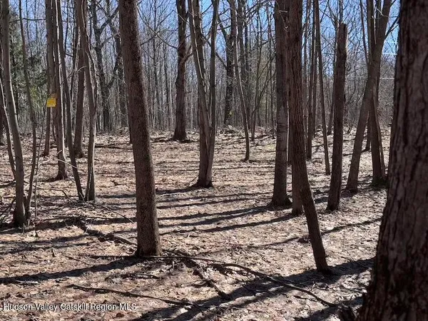 a view of a yard with trees