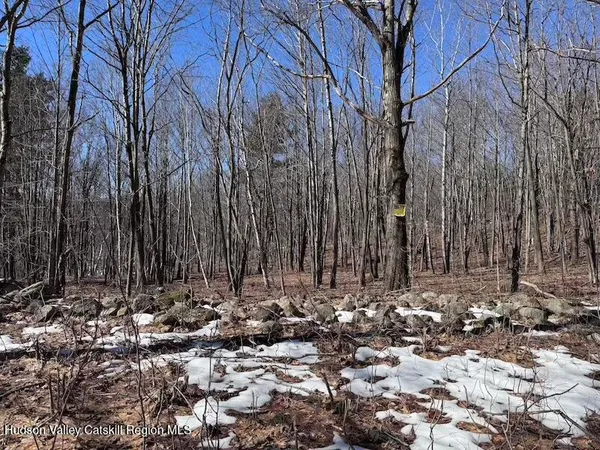 $90,000 | 0 Harroway Road, Cobleskill, NY 12043