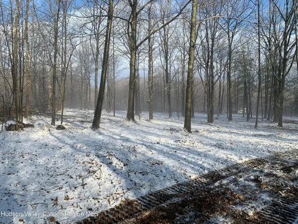 a view of backyard with large trees