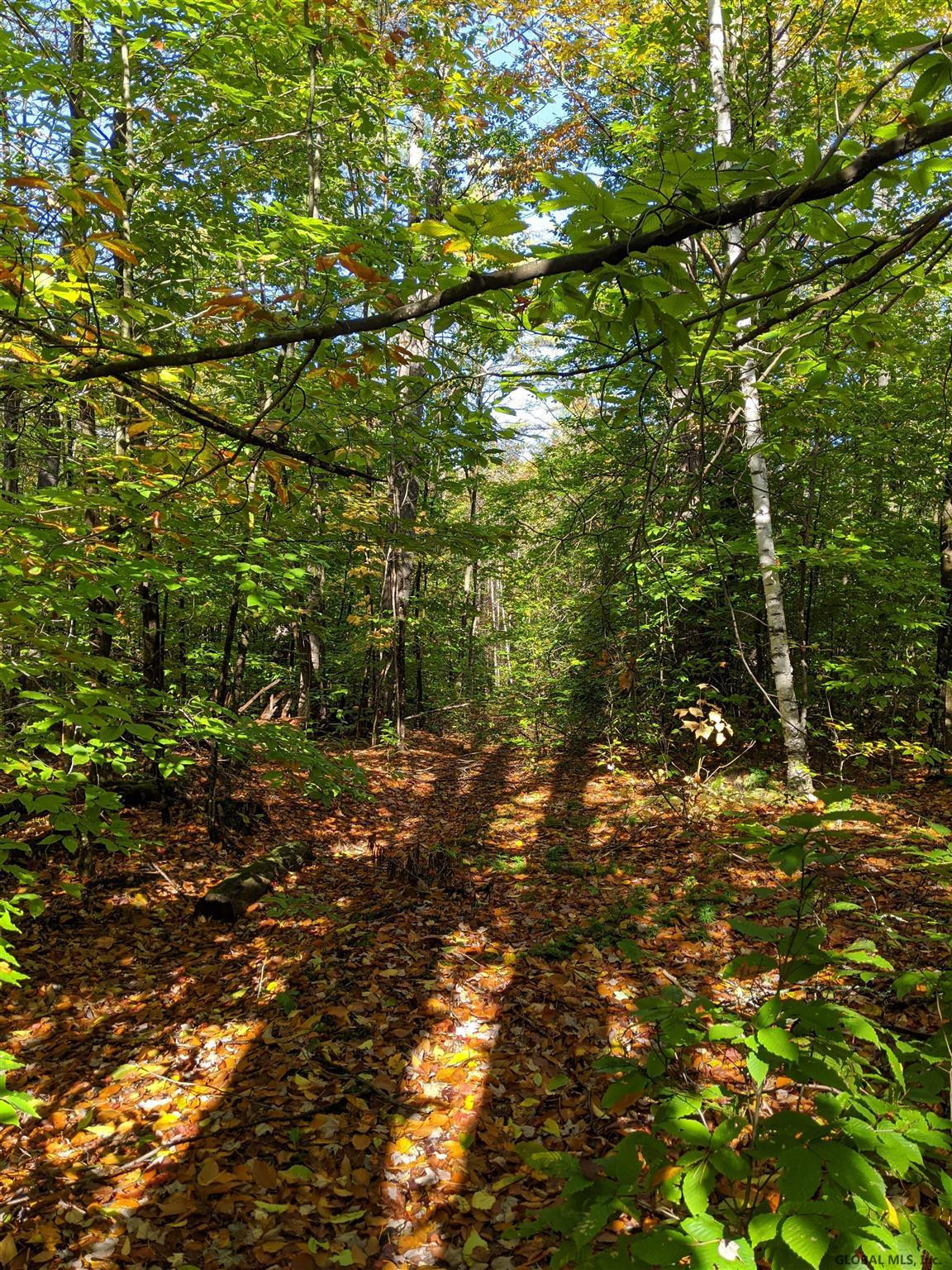 0 Dean Mountain Road Hadley, NY 12835 - Photo 3 of 9 Photo 3