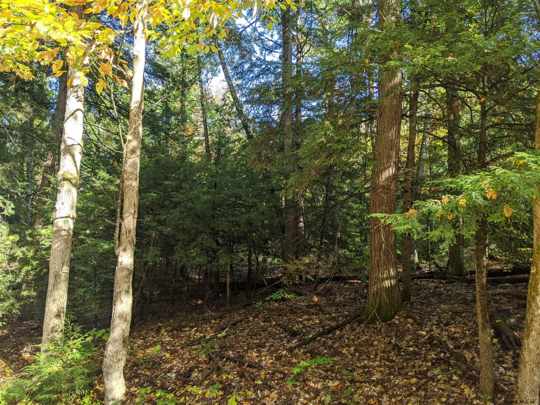 0 Dean Mountain Road Hadley, NY 12835 - Photo 4 of 9 Photo 4