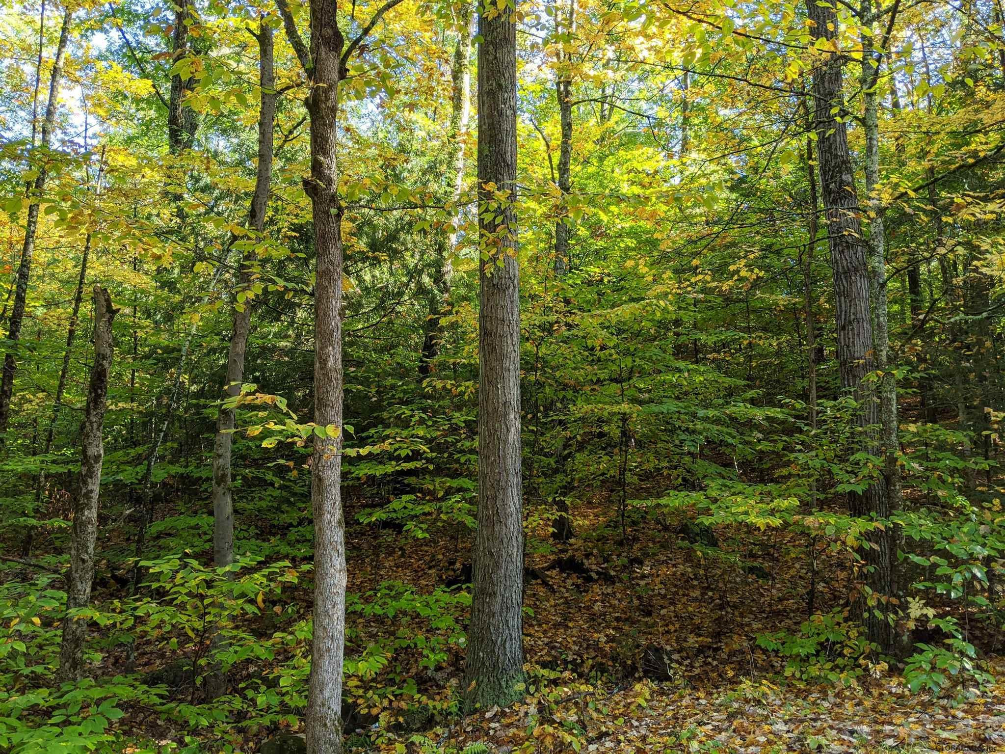 0 Dean Mountain Road Hadley, NY 12835 - Photo 5 of 9 Photo 5