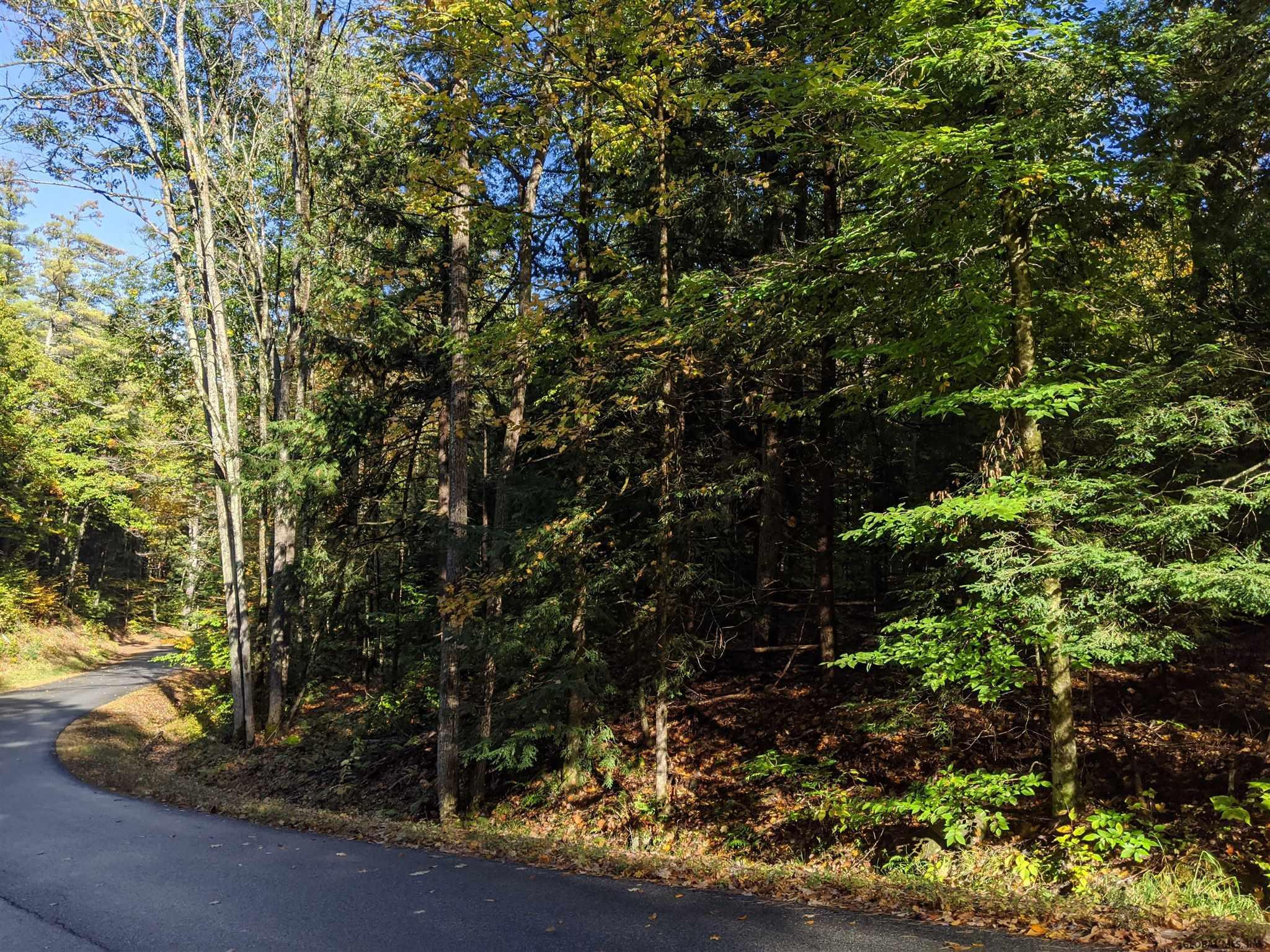0 Dean Mountain Road Hadley, NY 12835 - Photo 6 of 9 Photo 6