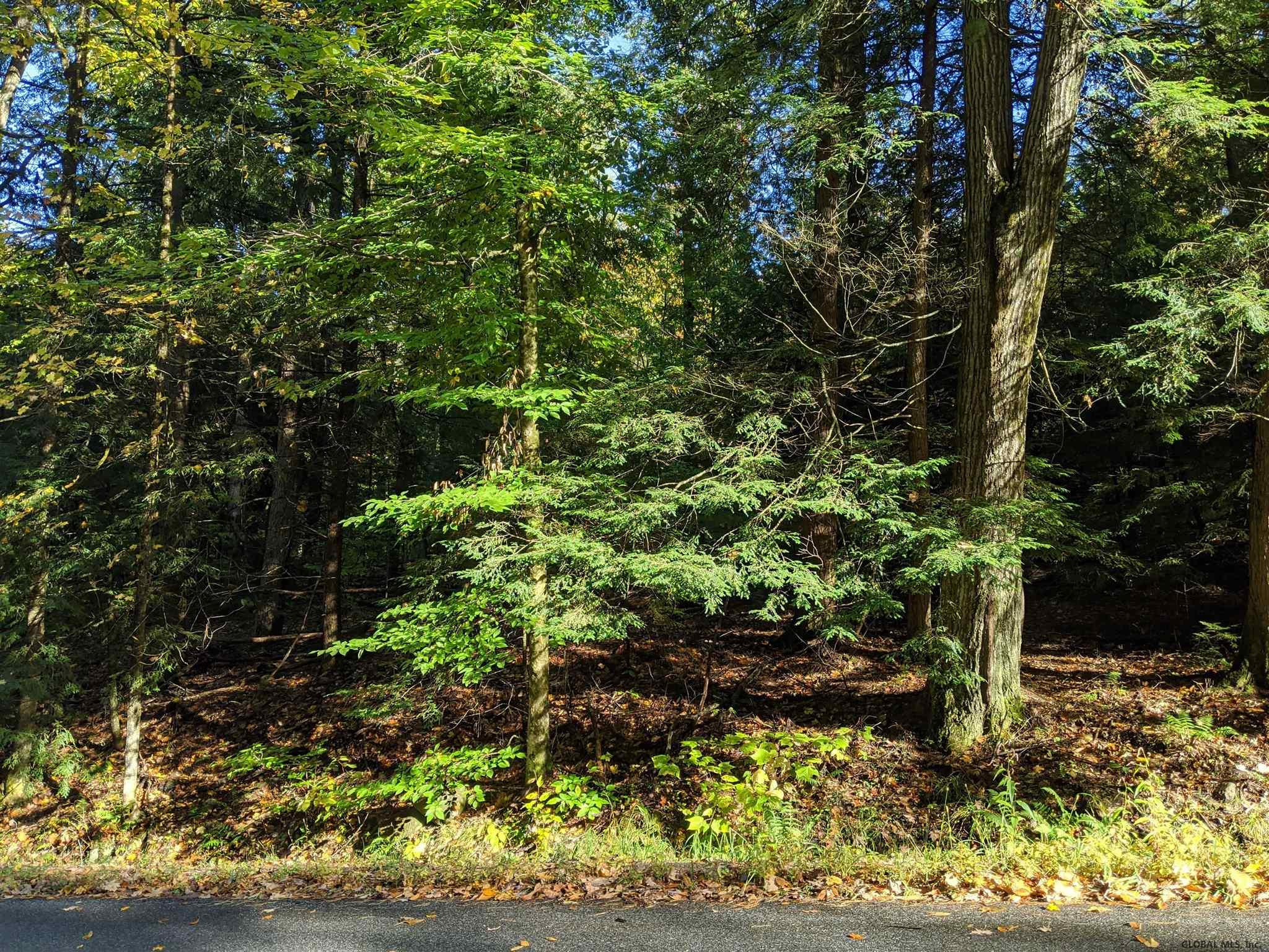 0 Dean Mountain Road Hadley, NY 12835 - Photo 7 of 9 Photo 7