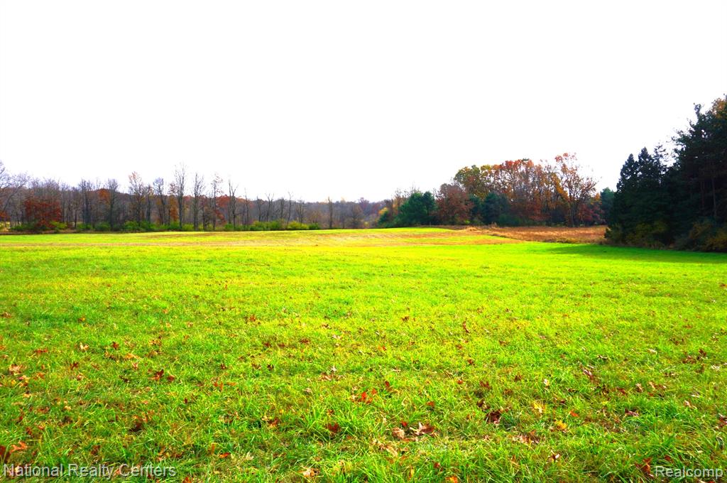 1755 South Kane Road Stockbridge, MI 49285 - Photo 32 of 32