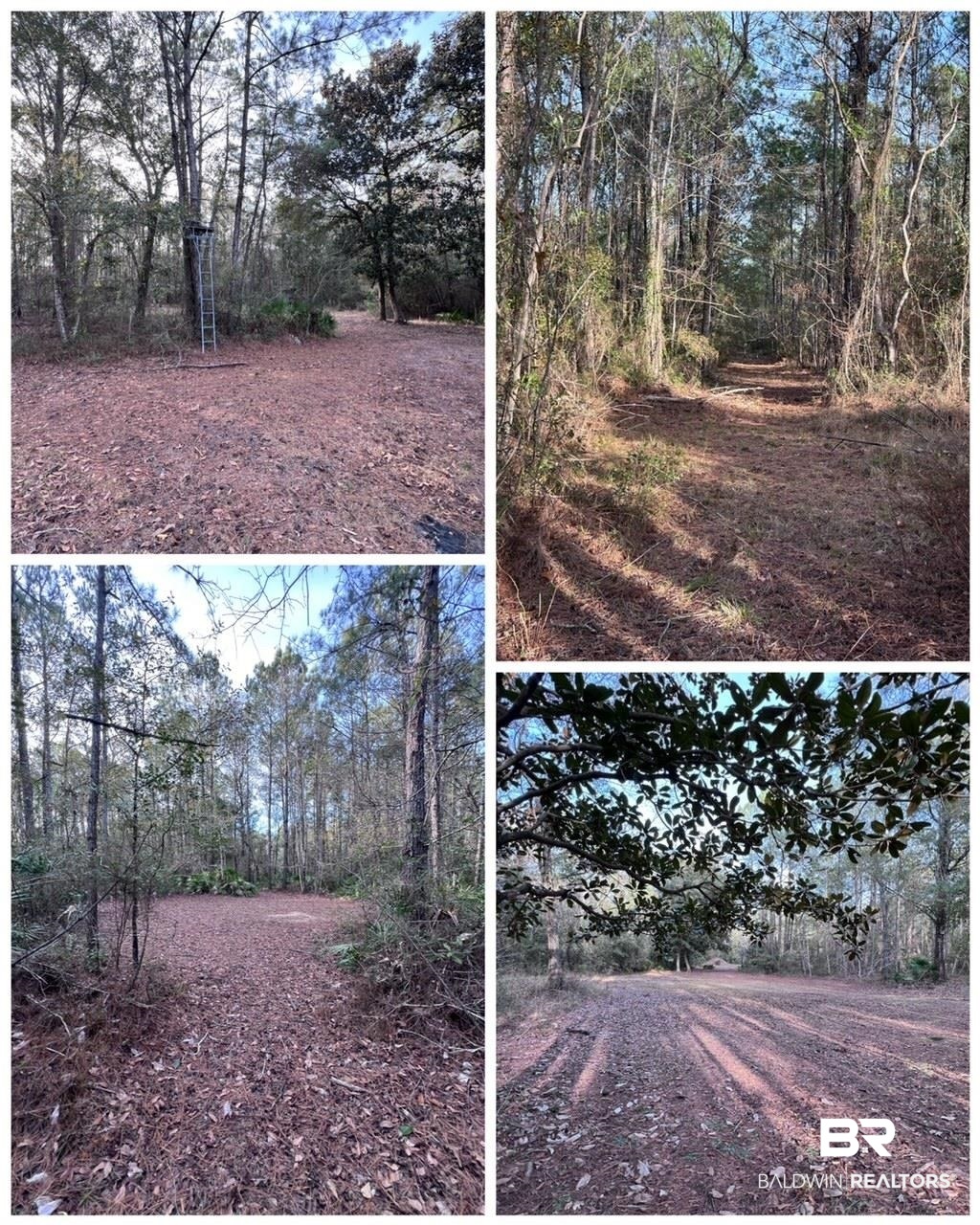 11327 County Road 26 Foley, AL 36535 - Photo 50 of 51