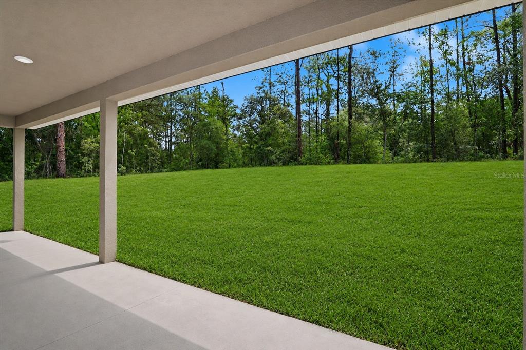 7945 North Ibsen Drive Citrus Springs, FL 34433 - Photo 3 of 51