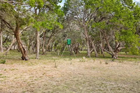 a view of a yard with a tree