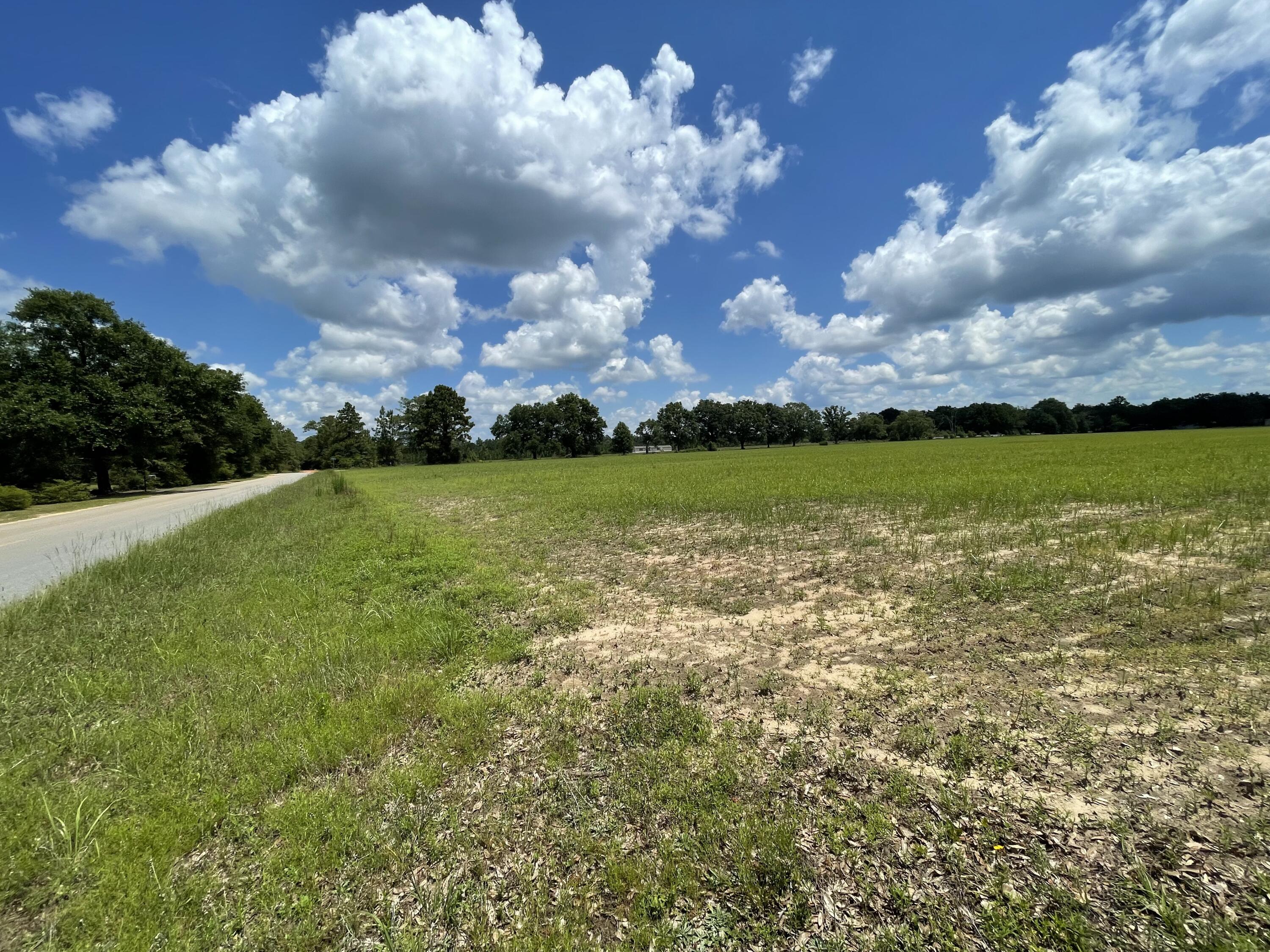 Parcel C Griffith Road Holt, FL 32564 - Photo 5 of 6 IMG_3136