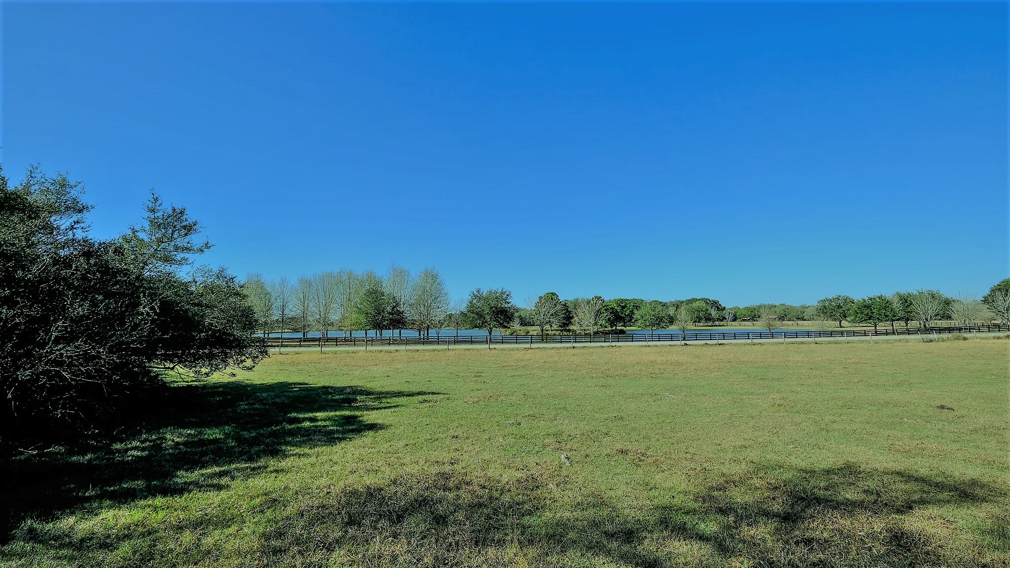 26266 Fields Store Road Waller, TX 77484 - Photo 6 of 49 Excellent homesite overlooking magnificent property across the road.