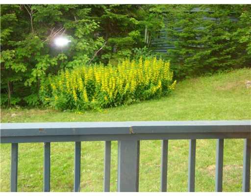 1108 North Shore Road Stockholm, ME 04783 - Photo 19 of 25 Yard/Garden.