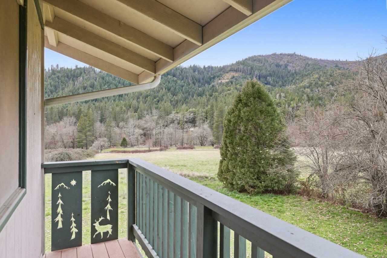 431 Murphy Gulch Road Rogue River, OR 97537 - Photo 4 of 35 EP1A7918 Large