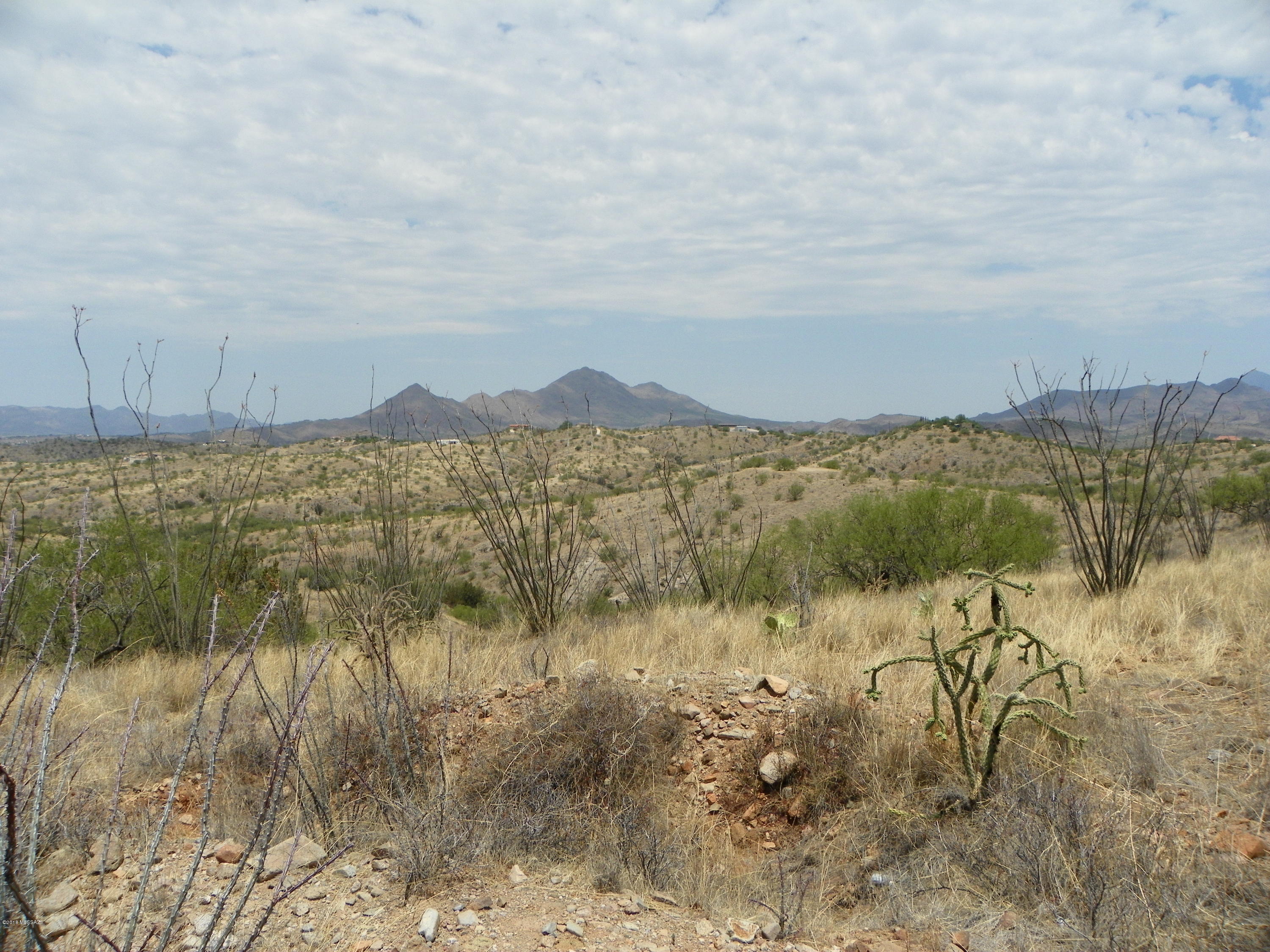 1078 Paseo Guebabi, Unit 65 Rio Rico, AZ 85648 - Photo 2 of 4