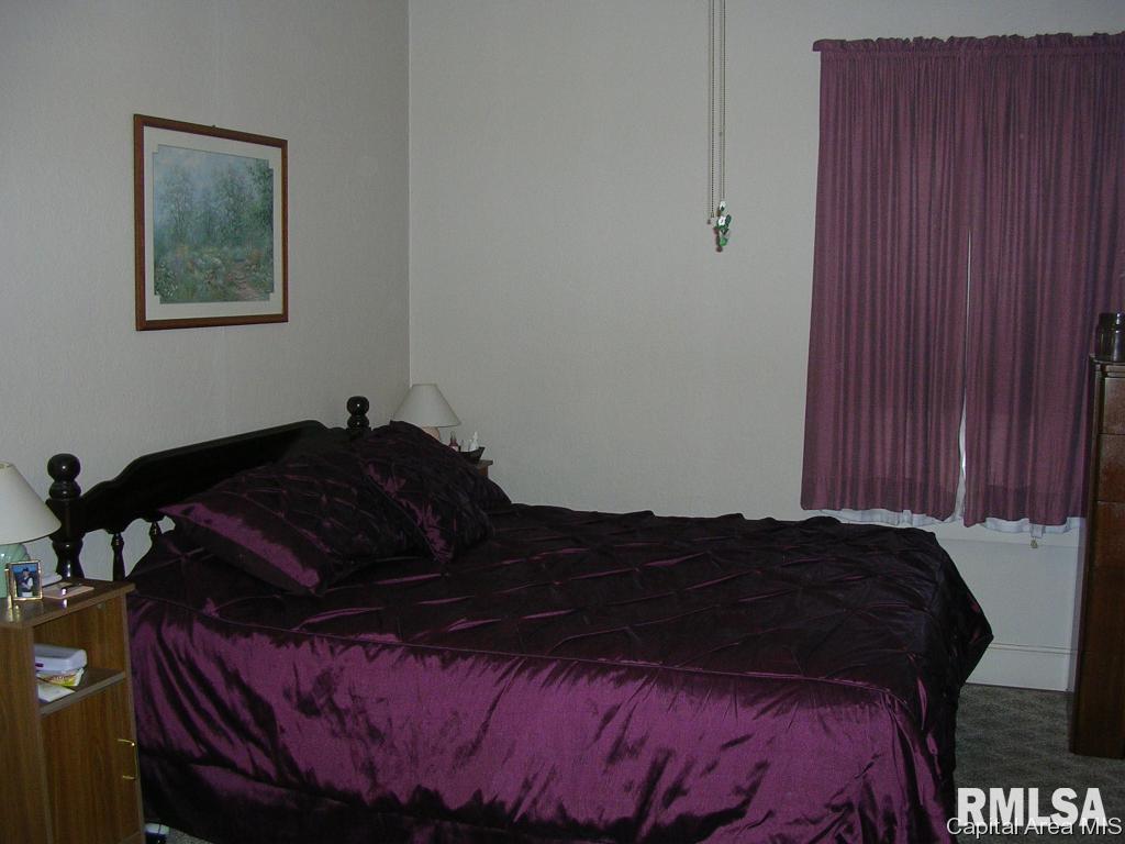1836 Baldwin Road Jacksonville, IL 62650 - Photo 8 of 13