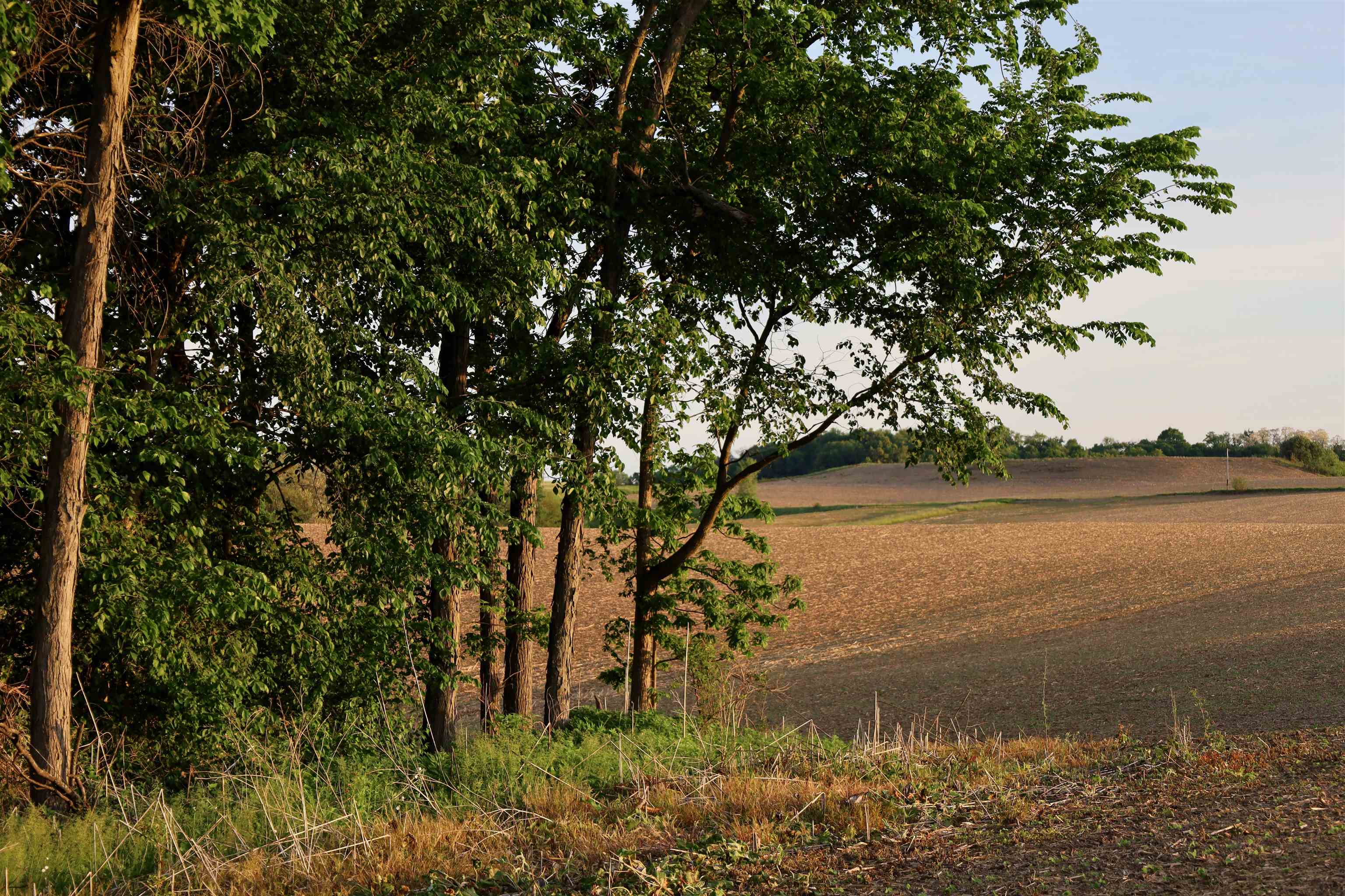 0 County T Boscobel, WI 53805 - Photo 26 of 30