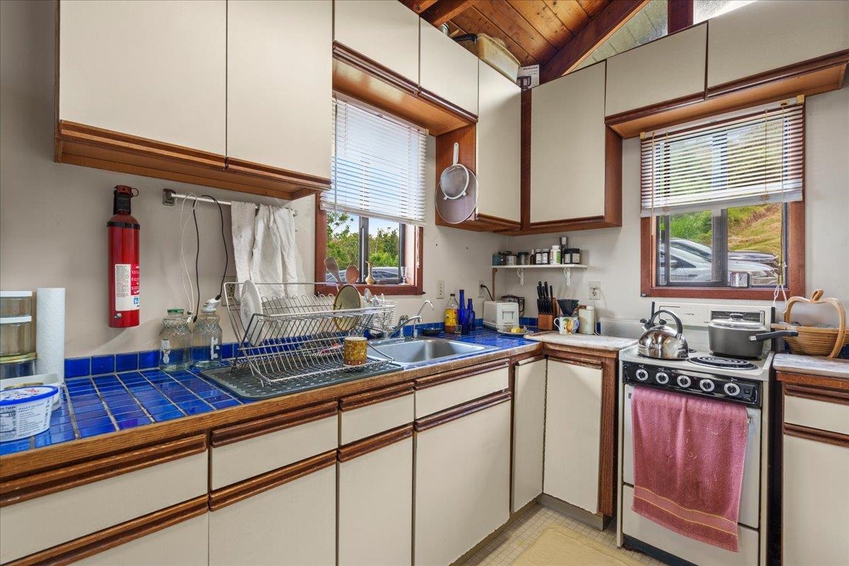 162 Koheo Road Kula, HI 96790 - Photo 46 of 50