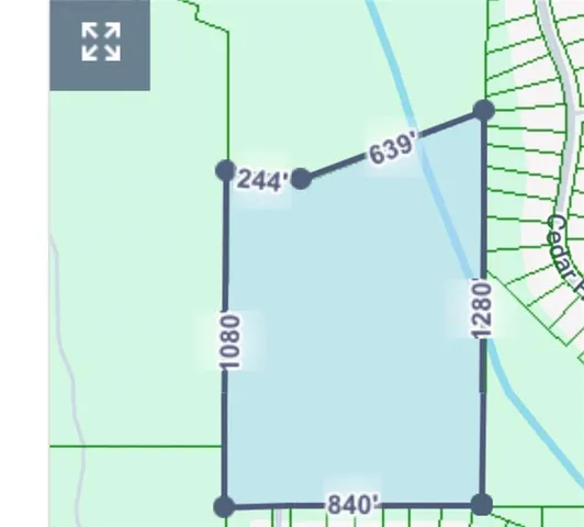 a view of a yard with plants and trees