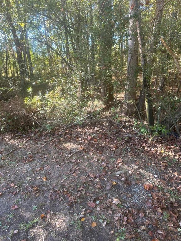 0 Buffington Road Union City, GA 30291 - Photo 5 of 19 a view of a yard with plants and trees