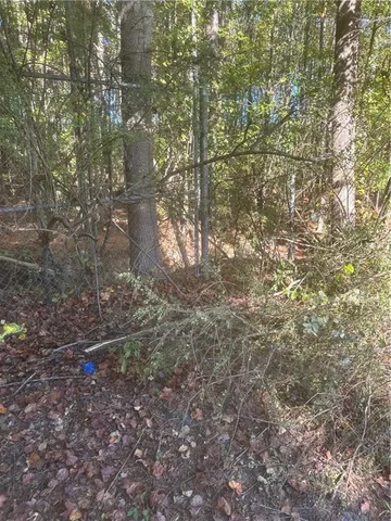 a view of a tree in a yard