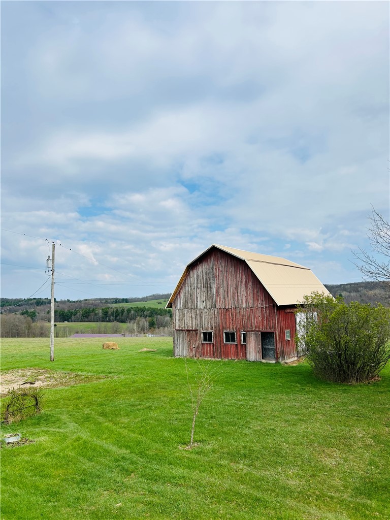 753 Morgan Road Woodhull, NY 14801 - Photo 2 of 19