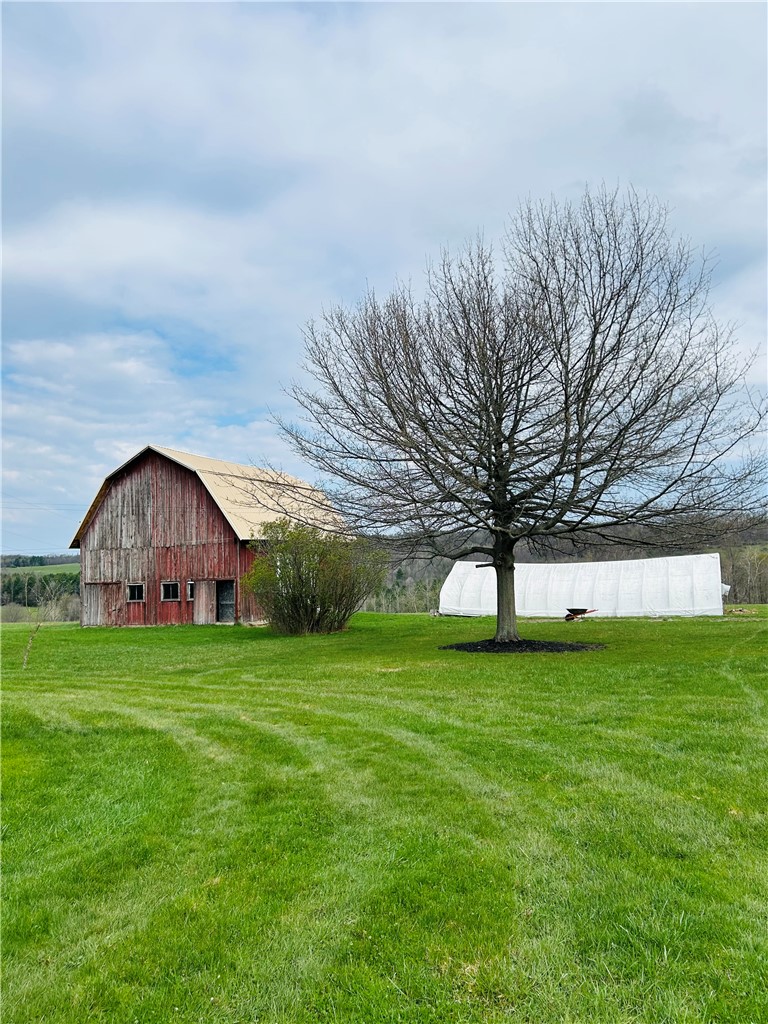 753 Morgan Road Woodhull, NY 14801 - Photo 3 of 19