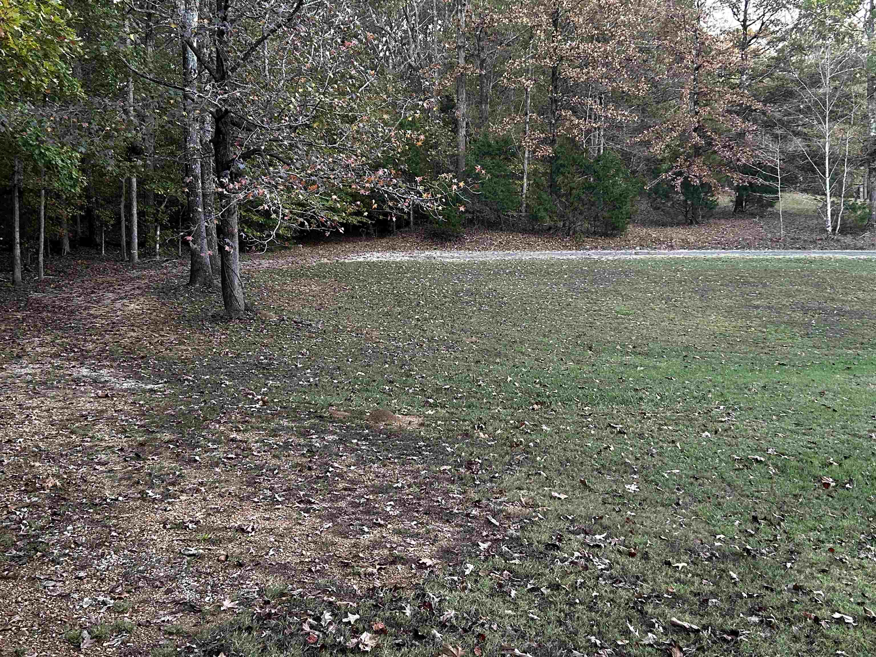 292 Shane Lane Ramer, TN 38367 - Photo 4 of 8 a view of outdoor space with trees