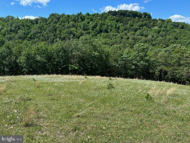 1096 Co Rte 10/2 Franklin, WV 26807 - Photo 20 of 23