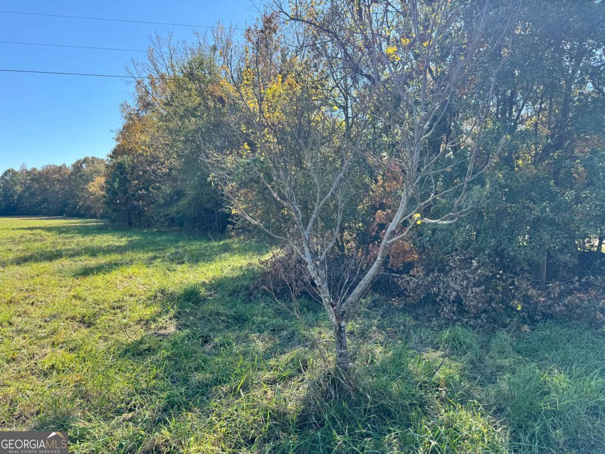 0 Taylor Road, Unit TRACT 1 Lexington, GA 30648 - Photo 6 of 12