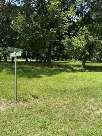 a view of a park and trees