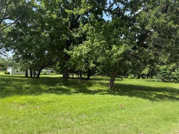 a view of a park with large trees