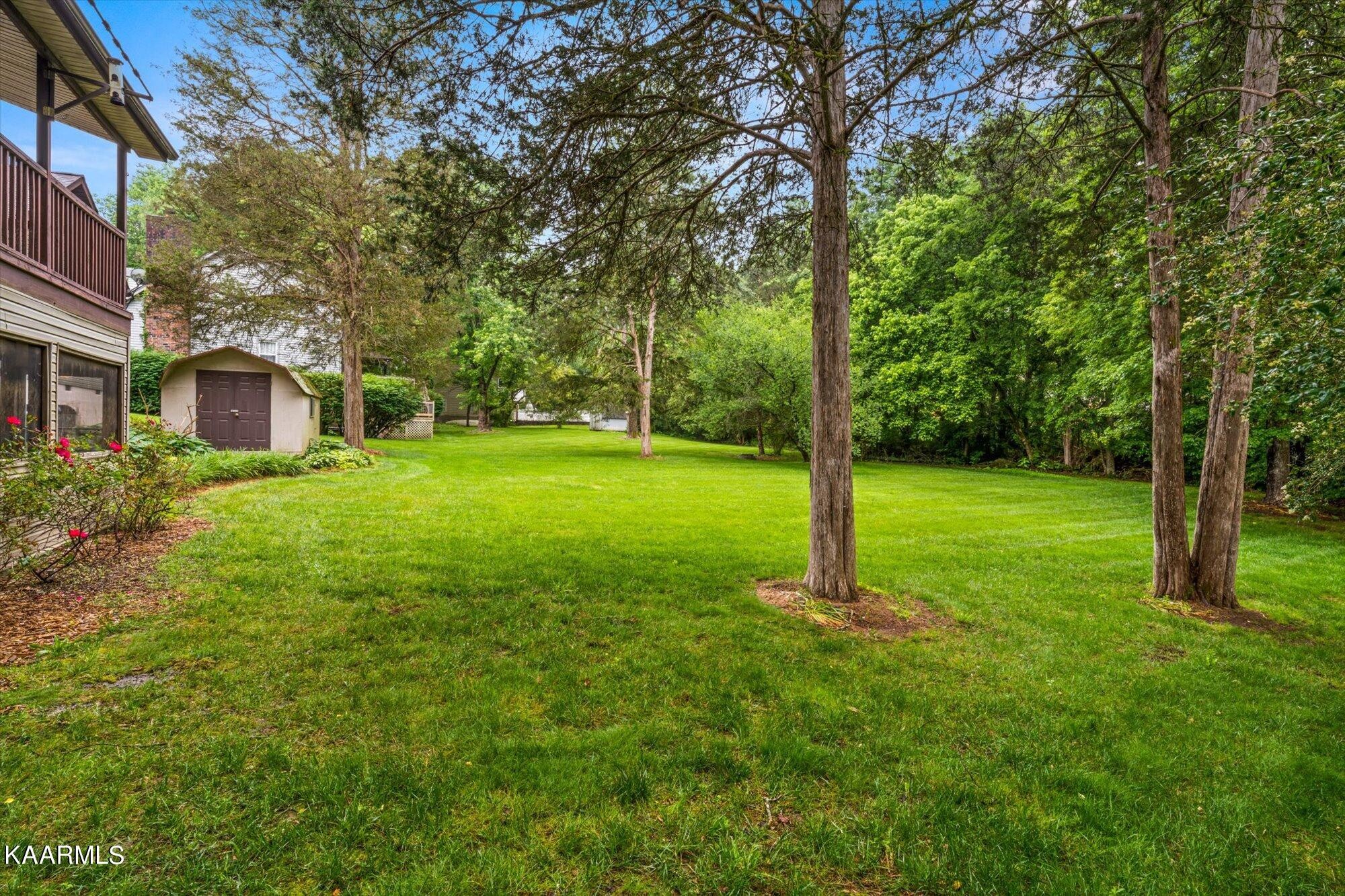 127 Chestnut Hill Road Oak Ridge, TN 37830 - Photo 36 of 45 a house with a big yard and large trees