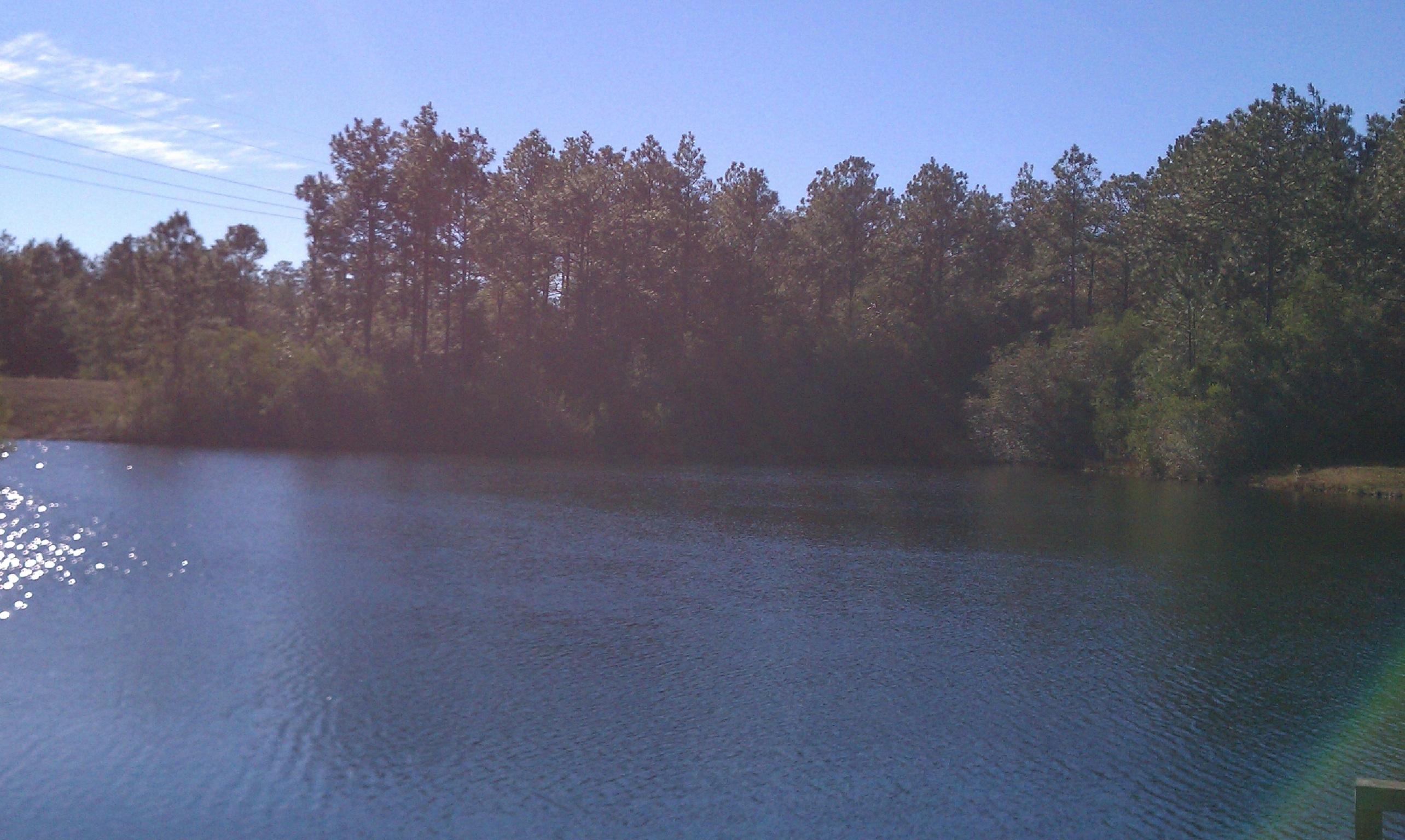 3.2-ac Mt Olive Road Crestview, FL 32539 - Photo 1 of 11 Mt olive property 8