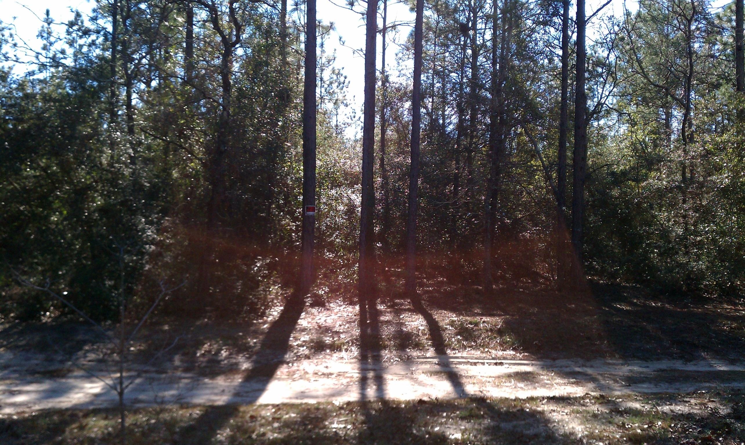 3.2-ac Mt Olive Road Crestview, FL 32539 - Photo 5 of 11 Mt olive property 2