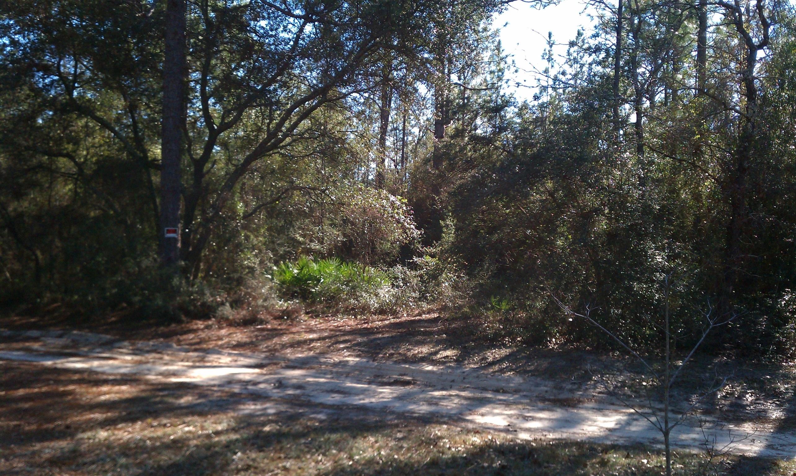 3.2-ac Mt Olive Road Crestview, FL 32539 - Photo 6 of 11 Mt olive property 3