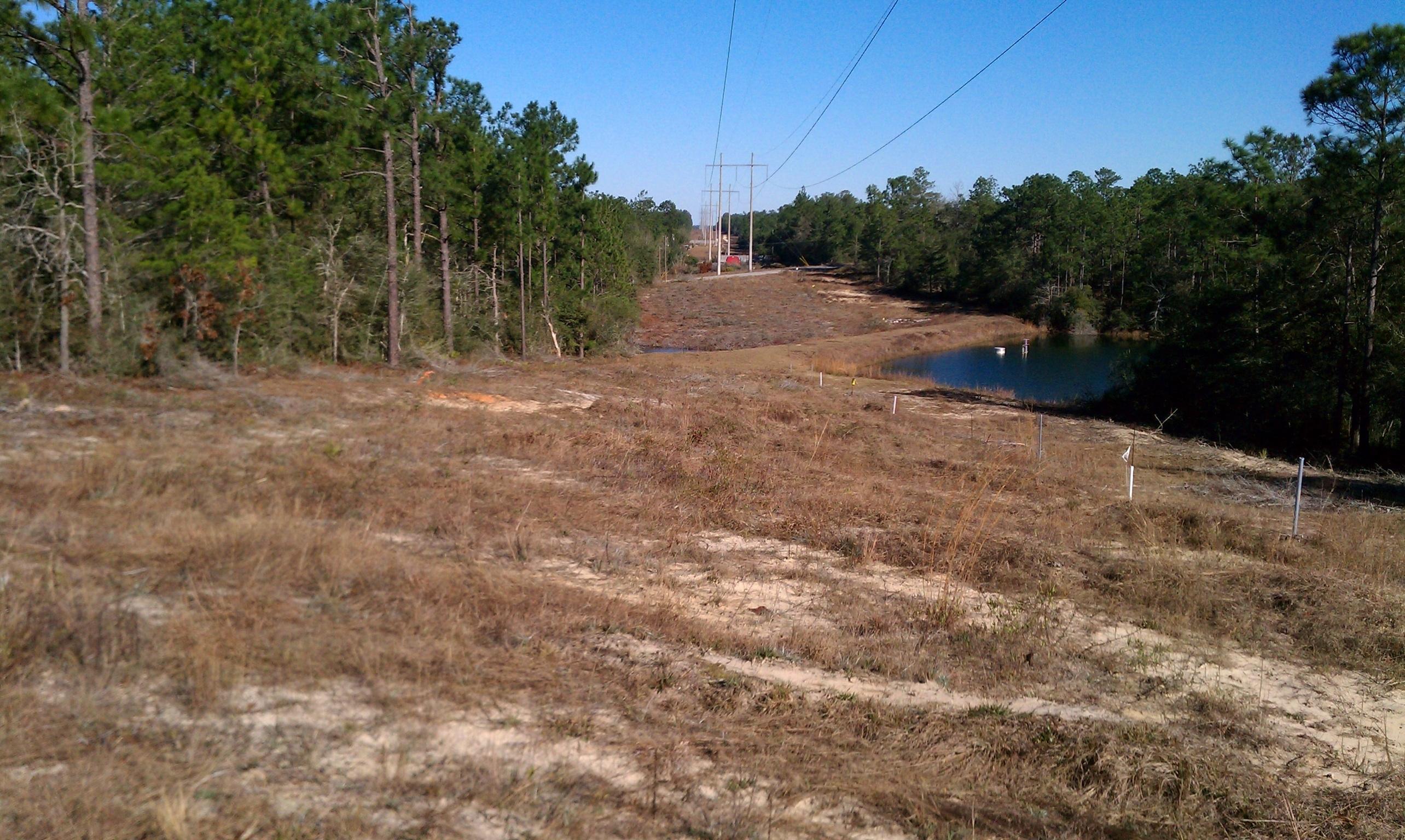 3.2-ac Mt Olive Road Crestview, FL 32539 - Photo 7 of 11 Mt olive property 4